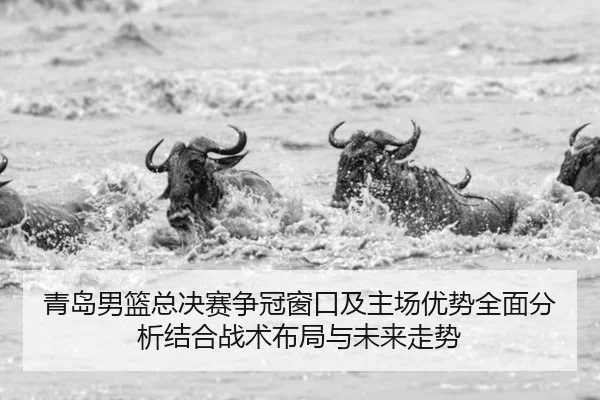 青岛男篮总决赛争冠窗口及主场优势全面分析结合战术布局与未来走势